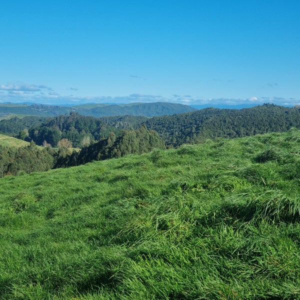 Big Sky Views64315660630018114