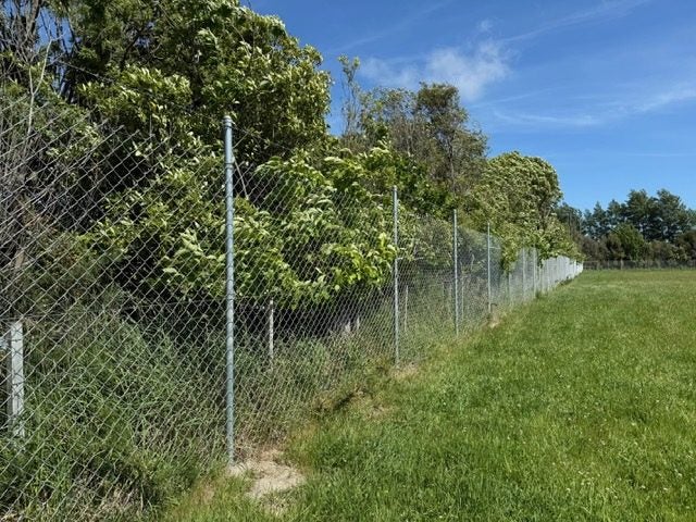 Chainlink Fencing 2x25m 60x60mm hole size Carousel 1