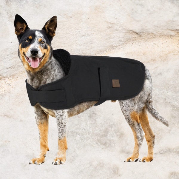 Burke & Wills Oilskin Angus Dog Coat Carousel 2