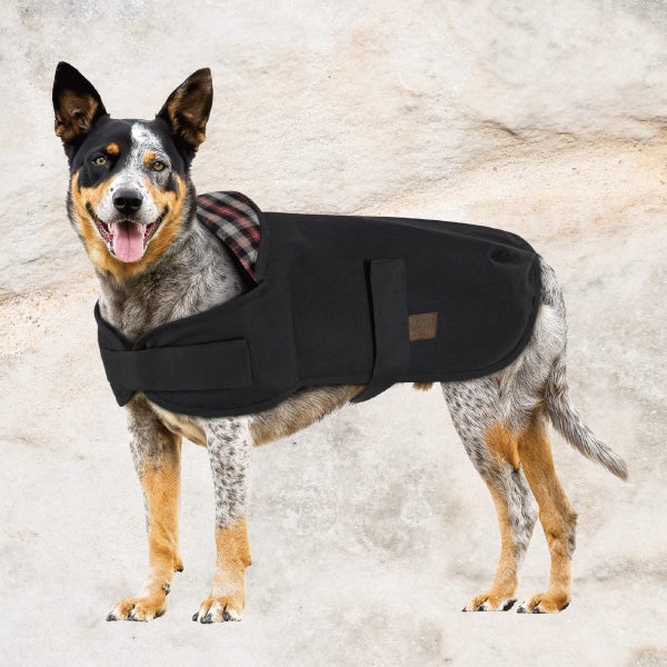 Burke & Wills Oilskin Scotty Dog Coat Carousel 2
