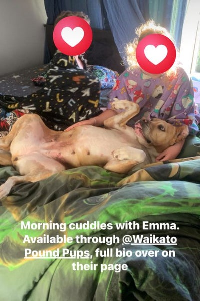 Emma - Waikato Pound Pups Carousel 9