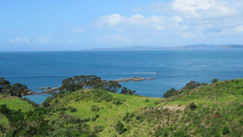 Grandstand building Site64318399791235114