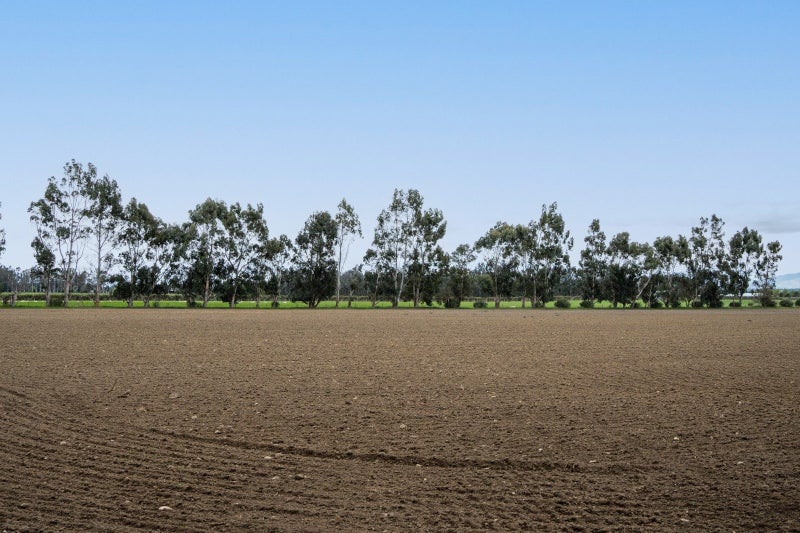 Productive Bareland Block64318399823235111