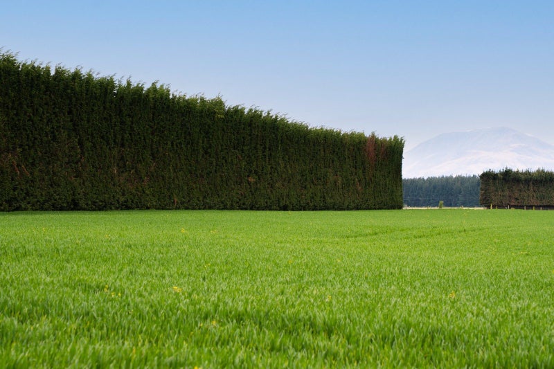 Productive Bareland Block64318399823235114