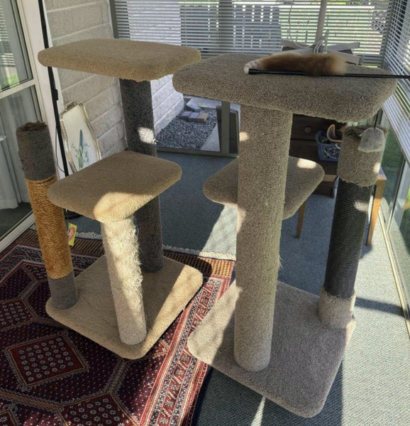 Cat Scratching Post / Pedestal - from Kitten to Large Adult Cat64326096033794112