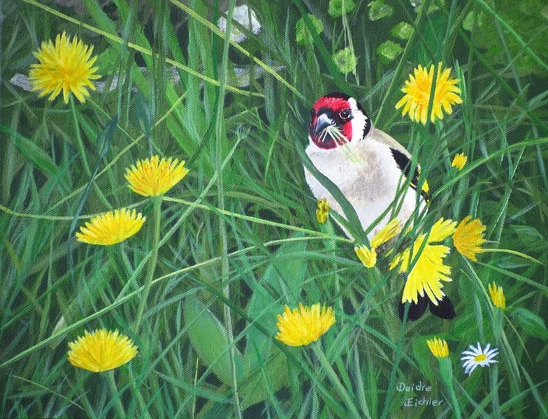 "Goldfinch and Dandelions" Original NZ Acrylic Painting by Deidre Eichler