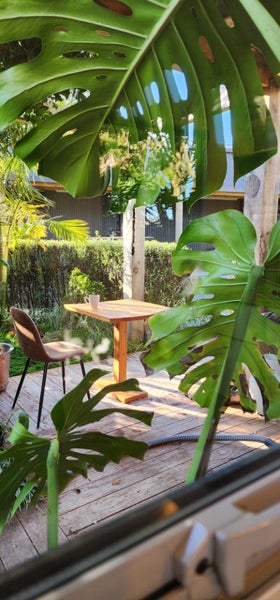 Sturdy, Solid, Accommodation64326662282755112