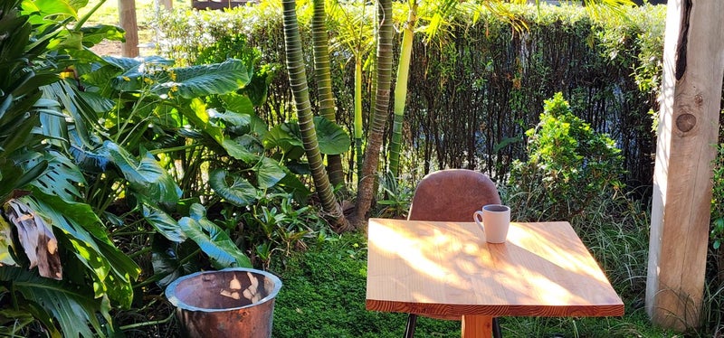 Sturdy, Solid, Accommodation64326662282755113