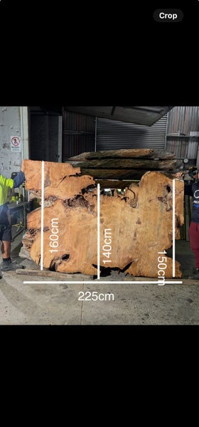 AK250048 – Extra Thick Ancient Swamp Kauri Stump Slab64327789885314110
