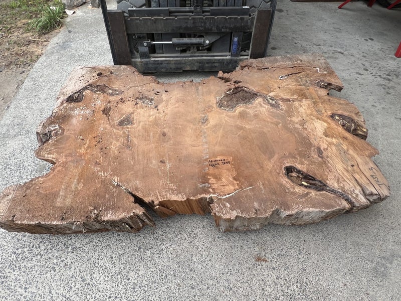 AK250048 – Extra Thick Ancient Swamp Kauri Stump Slab64327789885314113