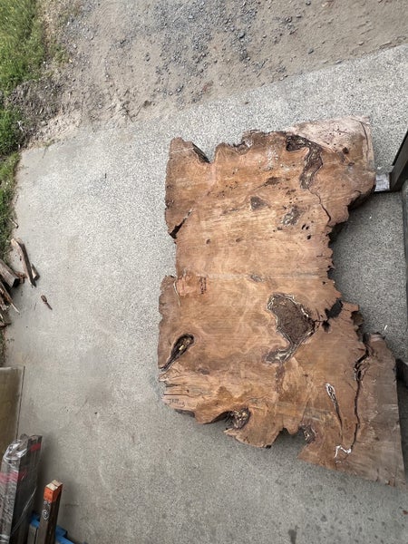 AK250048 – Extra Thick Ancient Swamp Kauri Stump Slab64327789885314112