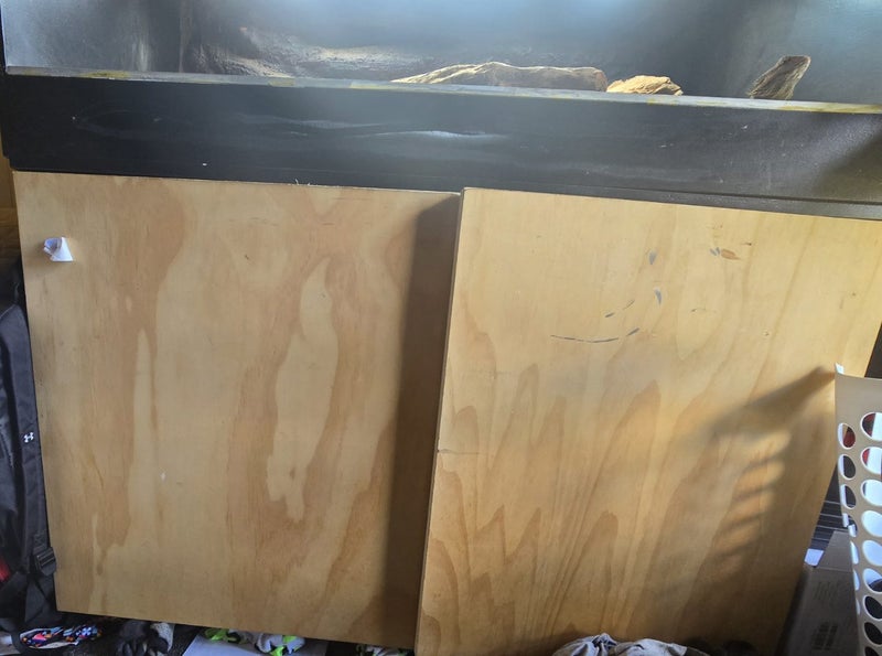 Bearded dragon and terrarium Carousel 1