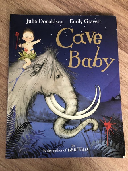 Julia Donaldson and Alex Scheffler book set64329357702914111