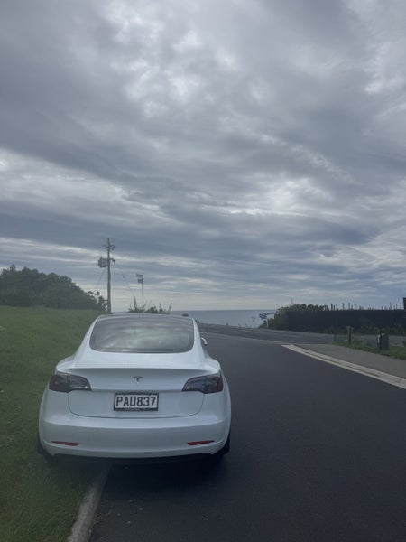 2022 Tesla Model 3 Rear Wheel Drive64338115612419110