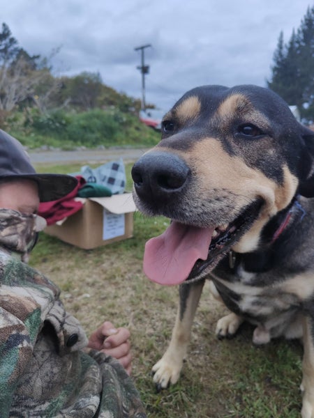 Are you my new Family Carousel 1