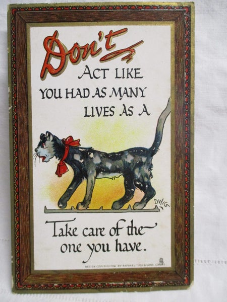 You Had as Many Lives as a Cat - Dwig Artist Comic Postcard .... BH 4194 Carousel 1
