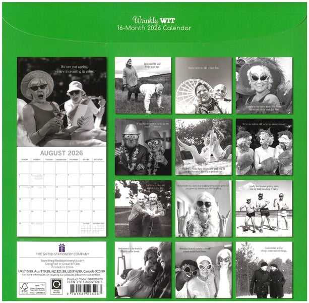 2026 Wall Calendar Wrinkly Carousel 2