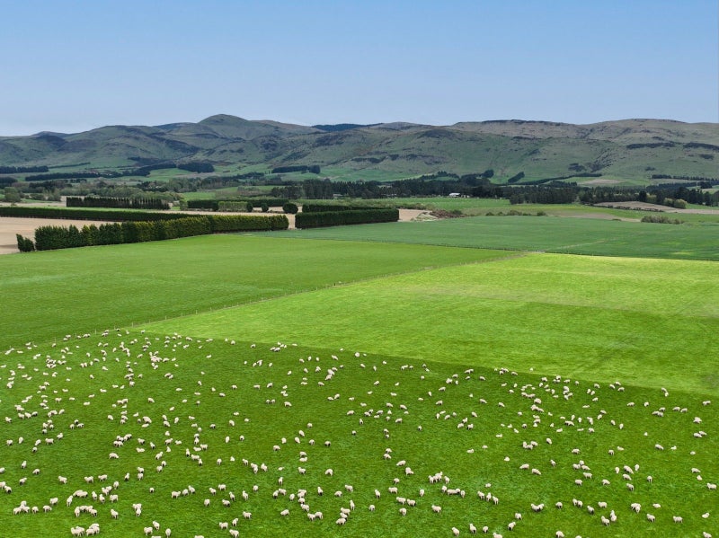 Reliable Bare Land Block64348501923074110