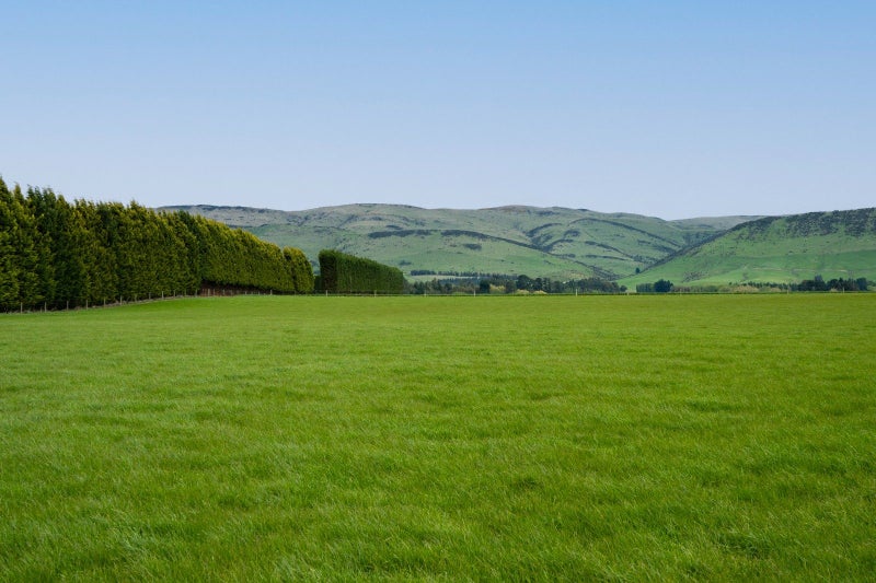 Reliable Bare Land Block64348501923074112