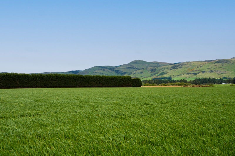 Reliable Bare Land Block64348501923074114