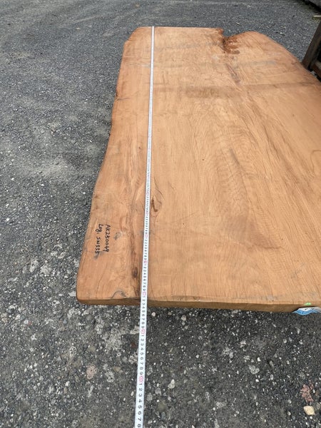 AK250049 – Ancient Swamp Kauri Wide Slab (280 × 140 × 8 cm) kiln dried !64350450811265113