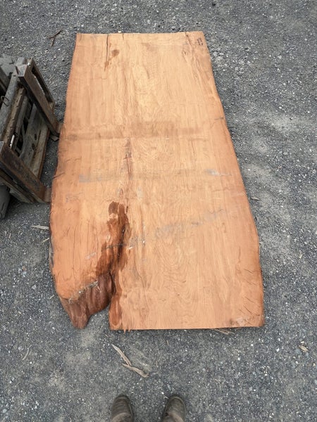 AK250049 – Ancient Swamp Kauri Wide Slab (280 × 140 × 8 cm) kiln dried !64350450811265110