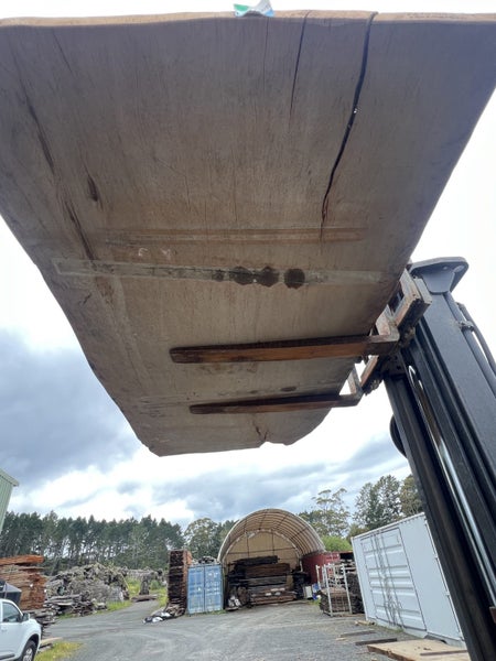 AK250049 – Ancient Swamp Kauri Wide Slab (280 × 140 × 8 cm) kiln dried !64350450811265114