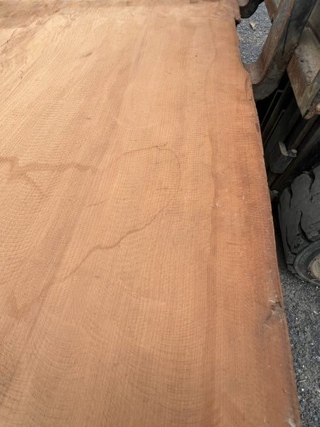 AK250049 – Ancient Swamp Kauri Wide Slab (280 × 140 × 8 cm) kiln dried !64350450811265112