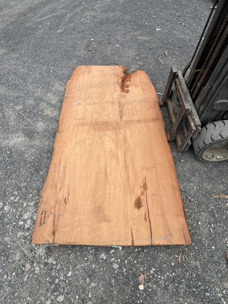 AK250049 – Ancient Swamp Kauri Wide Slab (280 × 140 × 8 cm) kiln dried !64350450811265111