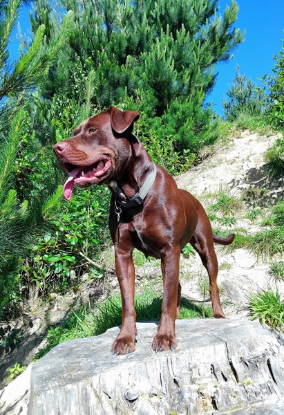 Coco - Chance 4 Change Carousel 1