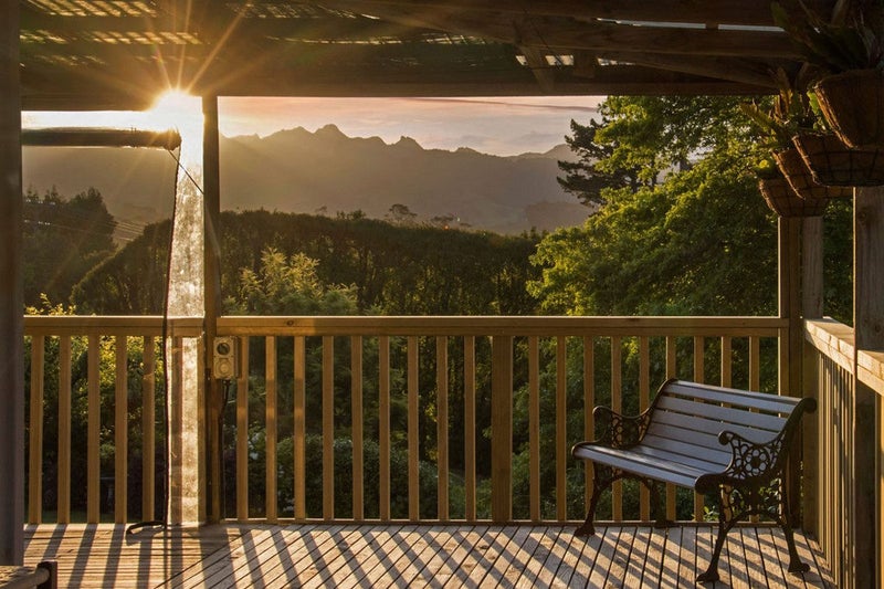 Loved, Nurtured, and Ready for Its Next Chapter64351130856577111