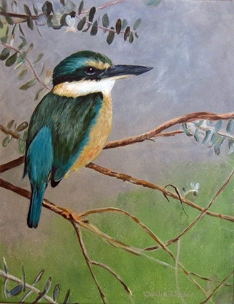 "Kingfisher (Kotare)" Original NZ Acrylic Painting by Deidre Eichler
