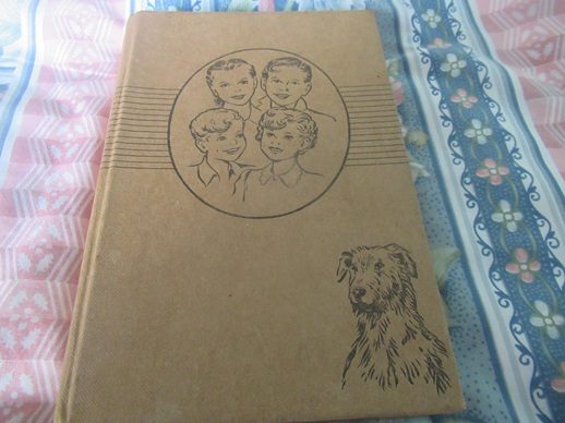 The Bobbsey Twins by Laura Lee Hope Carousel 1