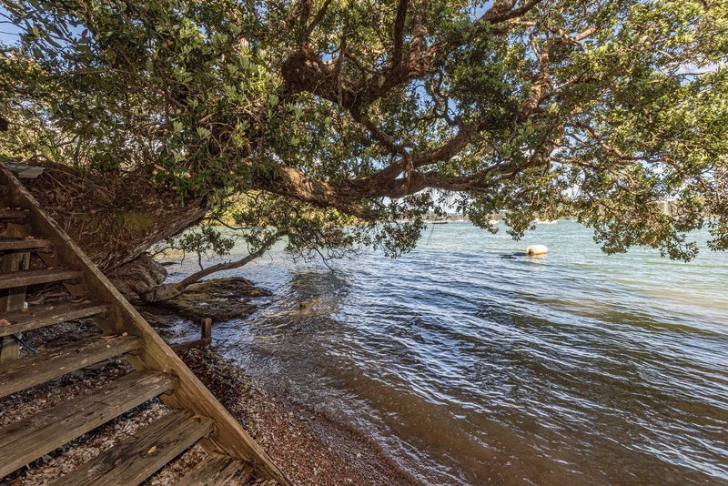 The Red Carpet is Rolled Out - You’ll Feel Like64361599530243112