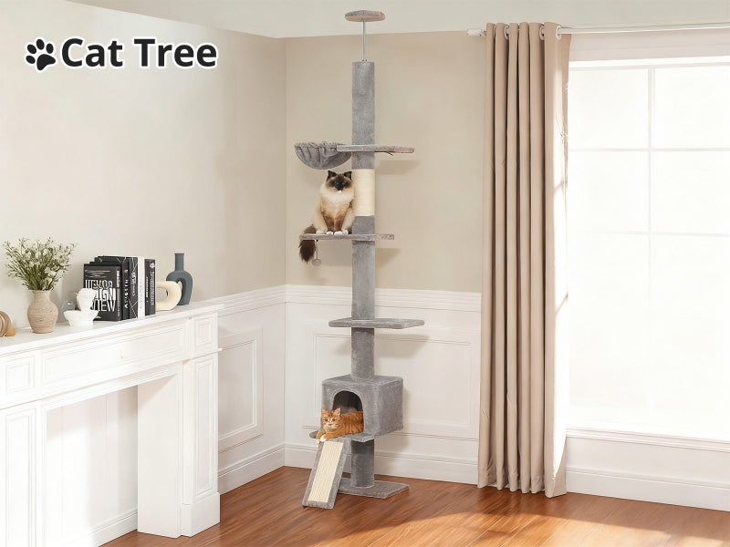 Cat Tree Carousel 1