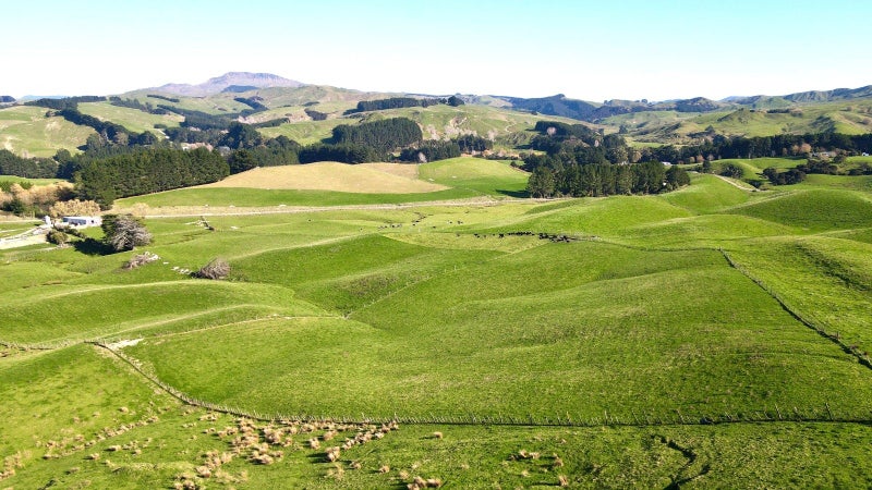 Superb add on or first farm opportunity64362172476291111