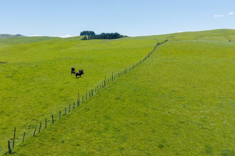 Superb add on or first farm opportunity64362172476291114