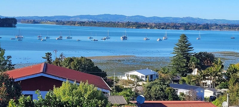 Prime Position, Endless Potential!64362187687297112