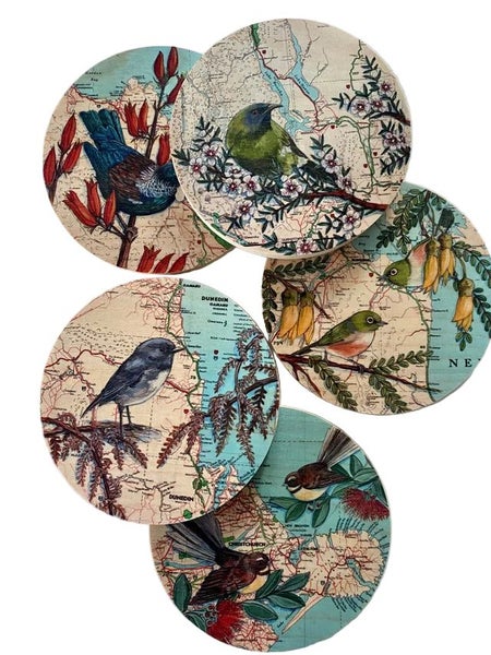 Robin over Dunedin Map - Plywood Wall Art Carousel 2