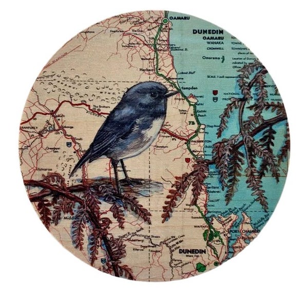 Robin over Dunedin Map - Plywood Wall Art Carousel 1