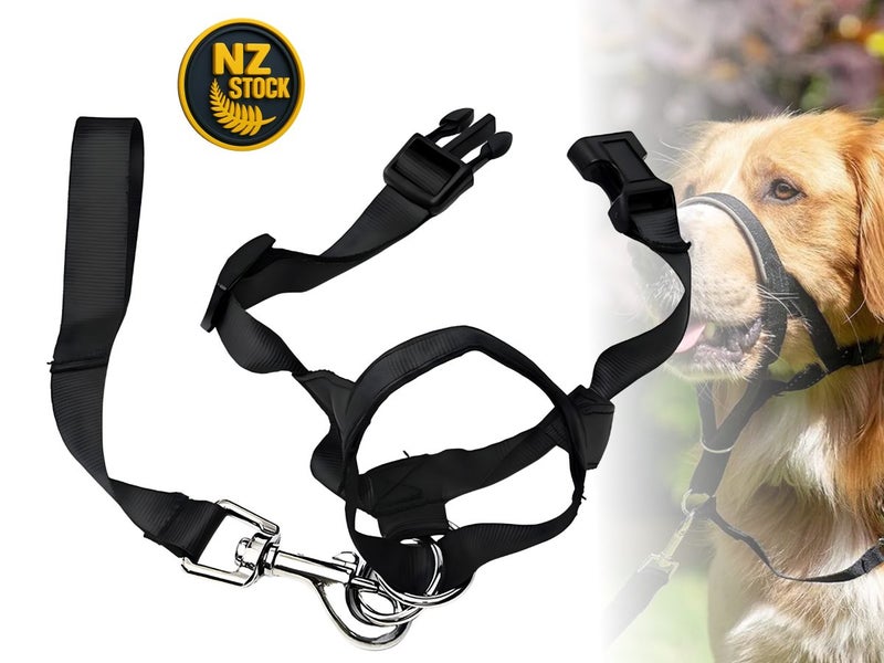 Dog Collar NZ Local Buy Now Carousel 1