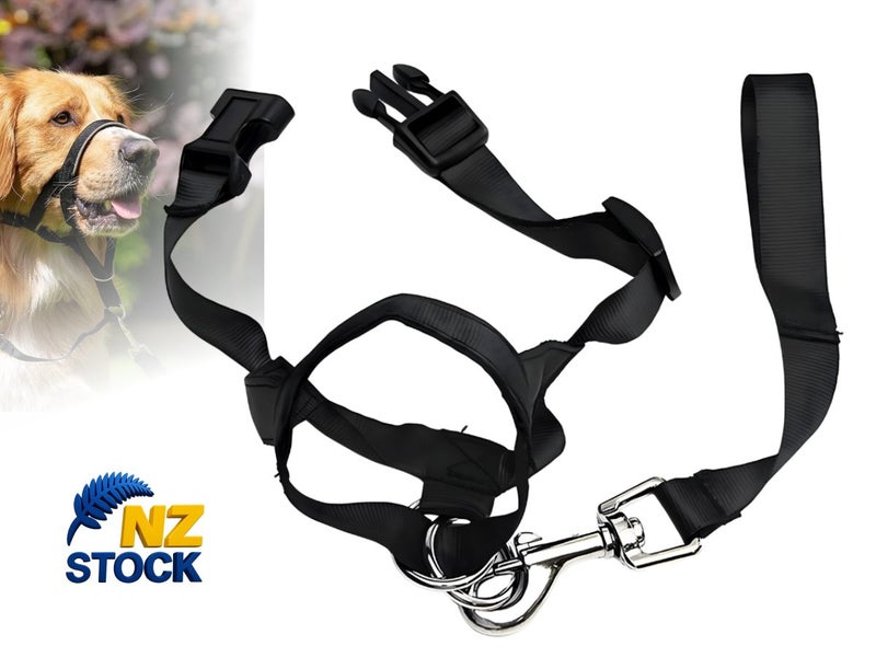 Dog Collar Local NZ Clearance Carousel 1