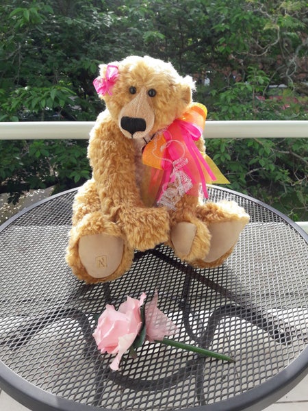 "RARE" GORGEOUS PATSY PAWS CREATED BY DEANS RAG BOOK DESIGN JILL BAXTER) 52/500 Carousel 2