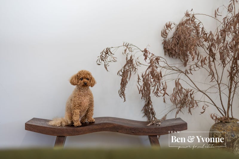 Style, Space & Sunshine Await!64370358931969114