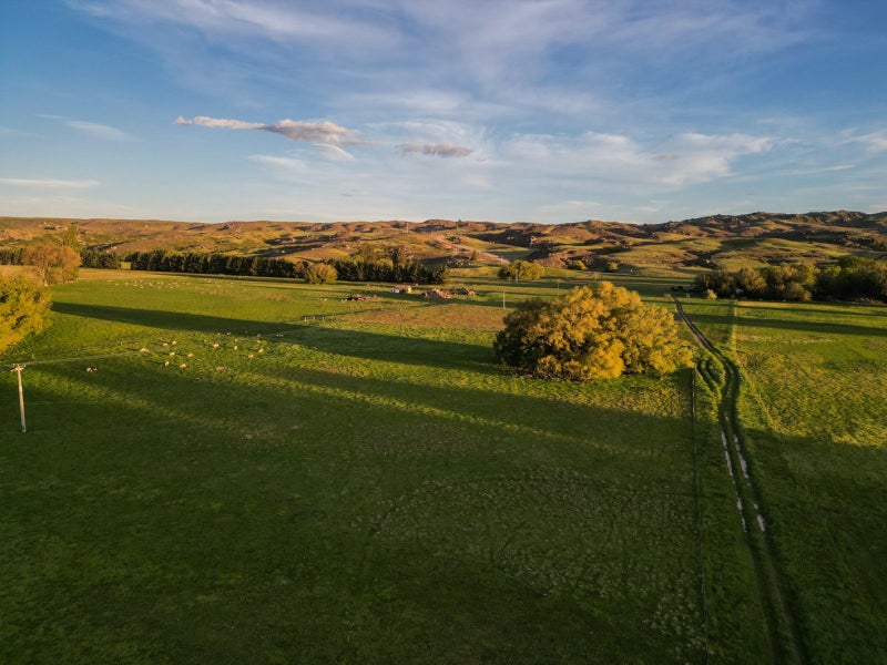 'Pomona' - Historic Sheep Farm64448466179586112