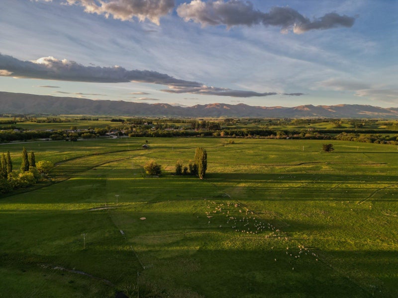 'Pomona' - Historic Sheep Farm64448466179586113