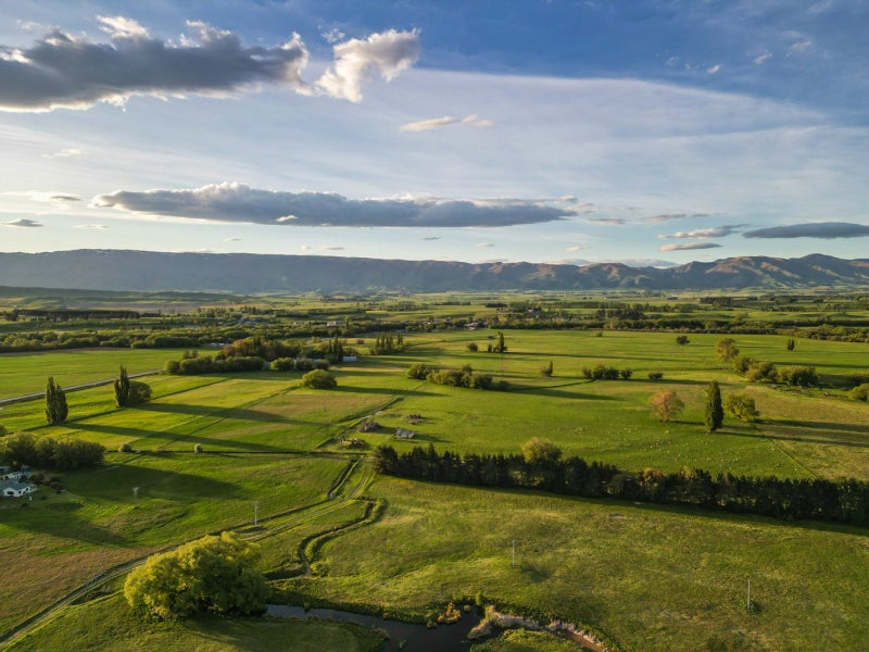 'Pomona' - Historic Sheep Farm64448466179586114