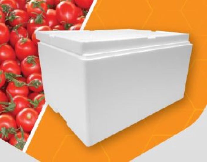 Polystyrene Box, Maxi, 51 Lit Carousel 1