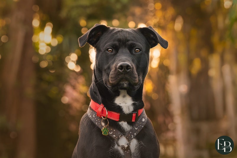 Opal - Chance 4 Change Carousel 1