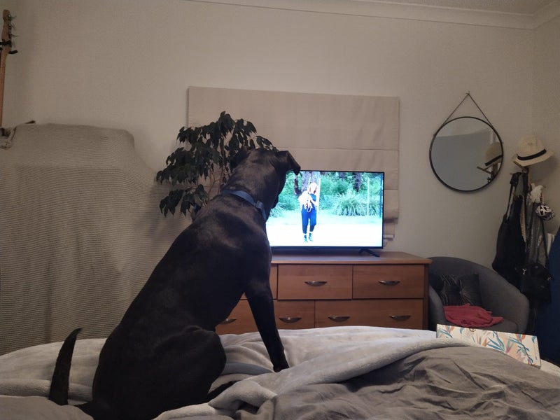 Opal - Chance 4 Change Carousel 15